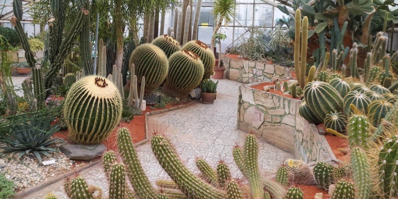 Sbírkové skleníky Flora