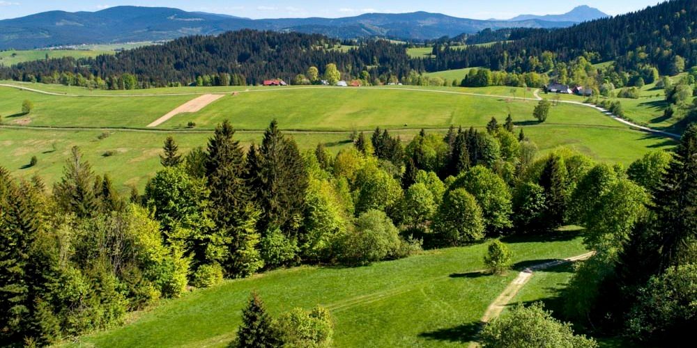 Oravská Lesná