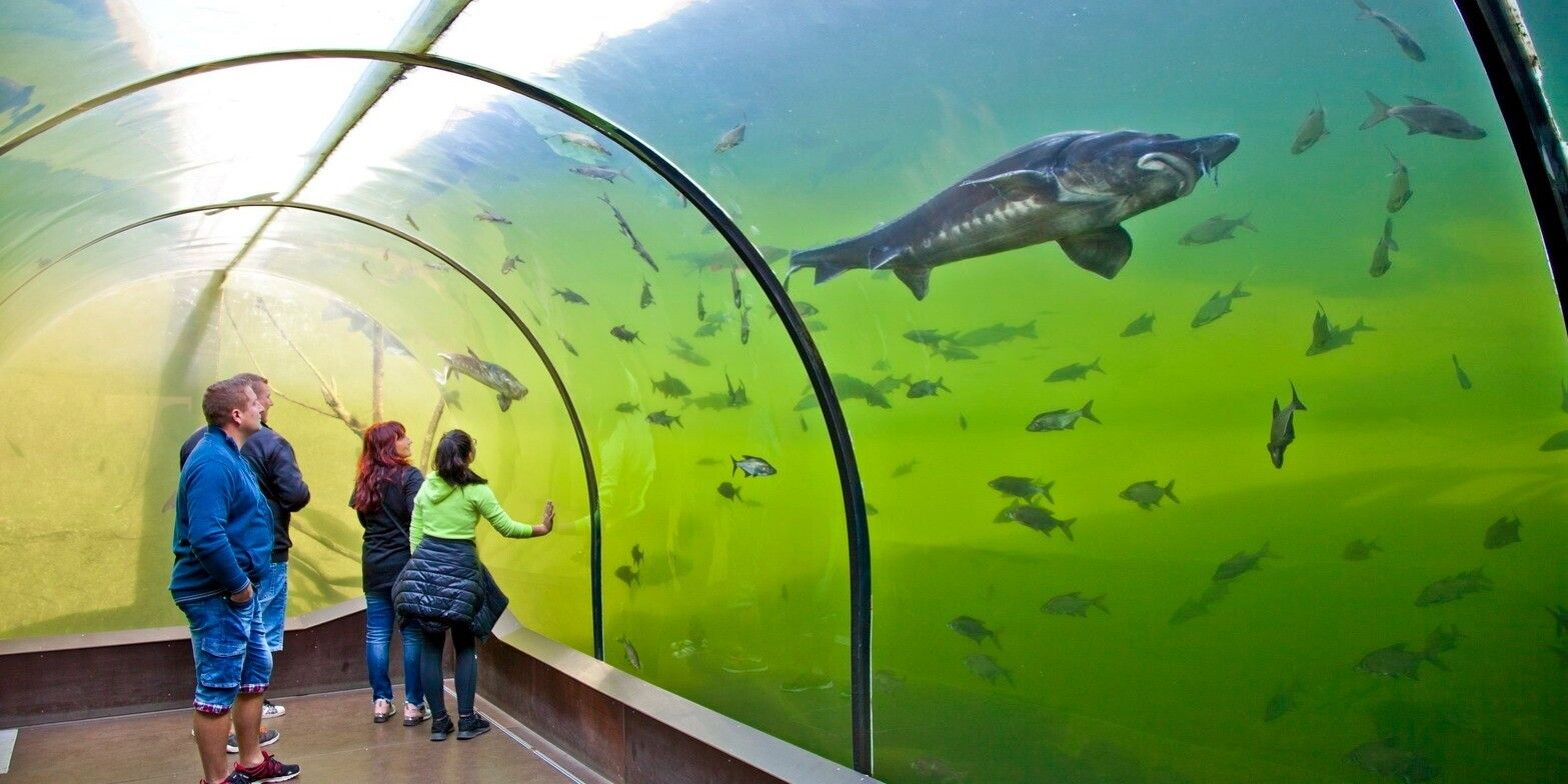 Podvodní tunel - Modrá