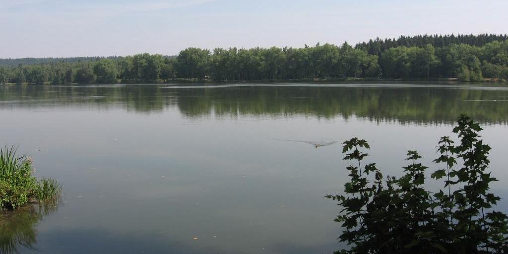 Turyňský-rybník-v-Kamenných-Žehrovicích