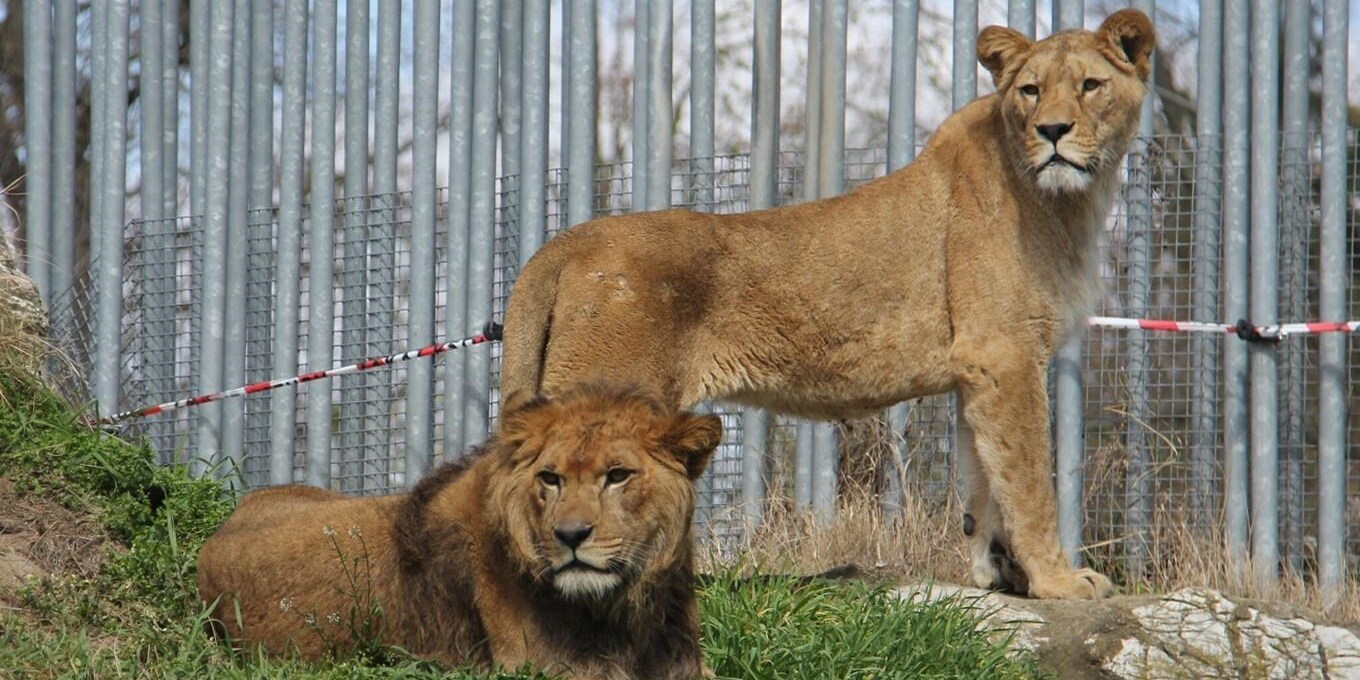 Zoo Hodonín