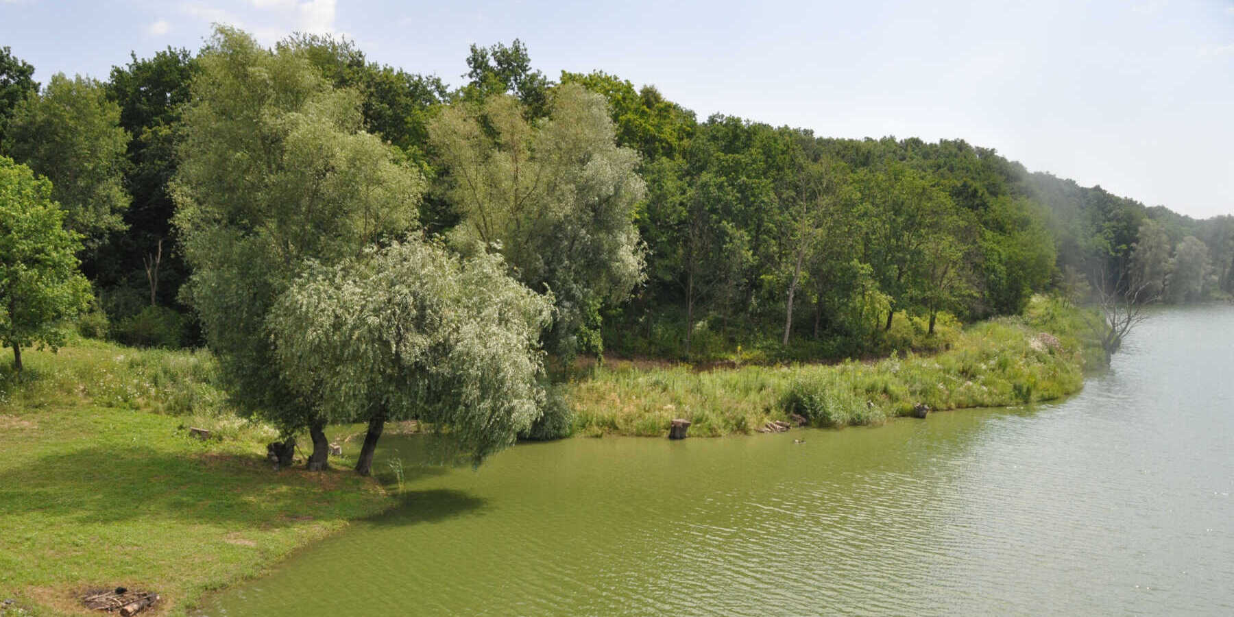 Ezüst-Csenkő Horgásztó